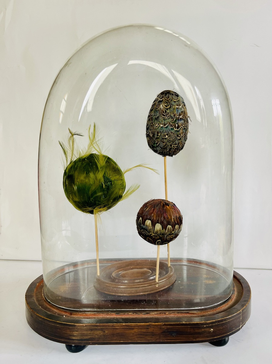 Œufs sous globe -photo-1